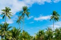 Coconut tree against blue sky and white clouds. Summer and paradise beach concept. Tropical coconut palm tree. Summer vacation Royalty Free Stock Photo