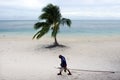 Coconut Tree Agriculture in Aitutaki Lagoon Cook Islands