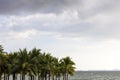 Coconut tree on beach at coast and many cloud in sky in holiday at evening Royalty Free Stock Photo
