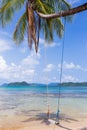 Coconut tree on the beach