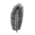 Coconut tree black silhouette leaf. vector icon Royalty Free Stock Photo
