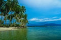 Coconut tree and blu ocean Royalty Free Stock Photo