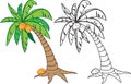 Coconut tree Royalty Free Stock Photo