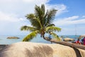 Coconut tree at coconut beach on Son island, Kien Giang, Vietnam. Near Phu Quoc island.