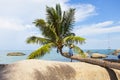 Coconut tree at coconut beach on Son island, Kien Giang, Vietnam. Near Phu Quoc island.