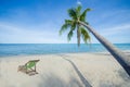 Coconut tree and a deck chair tropical luxury beach summer paradise Royalty Free Stock Photo