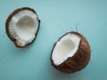 Coconut tree fruit coconut split into two halves isolated on blue background Royalty Free Stock Photo