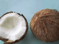 Coconut tree fruit coconut split into two halves isolated on blue background Royalty Free Stock Photo