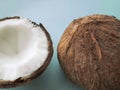 Coconut tree fruit coconut split into two halves isolated on blue background Royalty Free Stock Photo