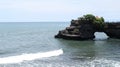 coconut tree in the garden. garden on a hill by the sea. blue sea beach. Coconut trees blown by the wind.