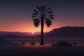a coconut tree glowing in the desert at dusk, Royalty Free Stock Photo