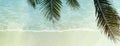 Coconut Tree Green Leave On Summer Blue Sea Wave Foam Nature Vacation Banner Background
