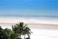 Coconut tree and ocean with love heart shape in the sand on the Royalty Free Stock Photo