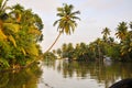 Coconut tree over Kerala Back water..Alleppey..Clicked from house boat Royalty Free Stock Photo