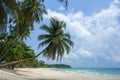 Coconut tree or palm tree at Thung Wua Laen Beach in Chomphon province Thailand, viewpoint of tropical beach seaside and blue sky Royalty Free Stock Photo