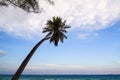 Coconut tree or palm tree at Thung Wua Laen Beach in Chomphon province, viewpoint of tropical beach seaside and blue sky Royalty Free Stock Photo