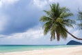 Coconut tree or palm tree at Thung Wua Laen Beach in Chomphon province Thailand, viewpoint of tropical beach seaside and blue sky Royalty Free Stock Photo