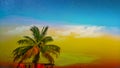 Coconut tree picture with background colour sky