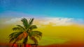 Coconut tree picture with background colour sky Royalty Free Stock Photo