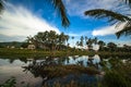 Coconut tree reflect shadow on surface of river beautiful sky in Beserah, Malaysia Royalty Free Stock Photo
