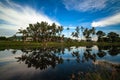 Coconut tree reflect shadow on surface of river beautiful sky in Beserah, Malaysia Royalty Free Stock Photo