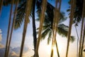 Coconut tree with resort view Royalty Free Stock Photo