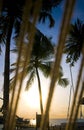 Coconut tree with resort view Royalty Free Stock Photo