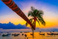 Coconut tree on Sairee beach at sunset ,Koh Toa island, surat thani ,Thailand Royalty Free Stock Photo