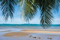 Coconut tree and scenery beach with blue sky