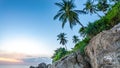 Coconut Tree Sea Sky	Background Royalty Free Stock Photo