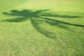 Coconut tree shadow on green field Royalty Free Stock Photo