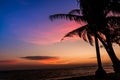 Coconut tree silhouette sunset background Royalty Free Stock Photo