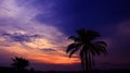 Coconut tree silhouette tropical colorful sky at sunset beautiful background with copy space add text Royalty Free Stock Photo