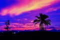 Coconut tree silhouette tropical colorful sky at sunset beautiful background with copy space add text Royalty Free Stock Photo