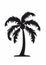 Bold Graphic Palm Tree Silhouette On White Background Royalty Free Stock Photo