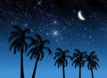 Coconut tree and stars