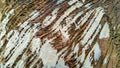 Coconut tree trunk texture. Brown, wet and close up. Royalty Free Stock Photo