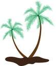 Coconut tree