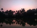 Sunrise on the sides of kerala backwaters Royalty Free Stock Photo