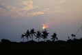 The coconut trees with background a sunset vibes. Royalty Free Stock Photo