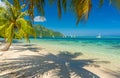 Coconut trees in a beach in Moorea Royalty Free Stock Photo