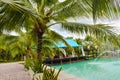 Coconut trees and blue water beauty nature in south Thailand