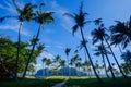 Coconut trees on Coron Island, Philippines Royalty Free Stock Photo