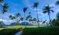 Coconut trees on Coron Island, Philippines Royalty Free Stock Photo