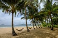 Coconut trees on Coron Island, Philippines Royalty Free Stock Photo