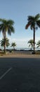 coconut trees on the edge of Kamali Baubau beach