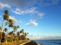 Coconut trees hang over path along rock seawall at Kaka`ako Waterfront Park