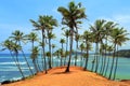 Coconut trees hill, Mirissa, Sri Lanka Royalty Free Stock Photo