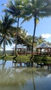 Coconut trees huts and blue sky with cluod Royalty Free Stock Photo