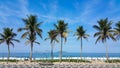 Coconut trees on Ipanema beach Rio de Janeiro Brazil